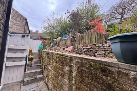 Rear Yard
