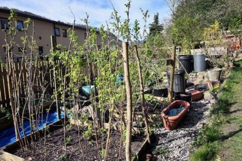 Allotment