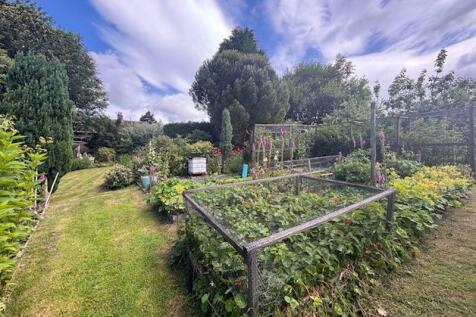 Vegetable Garden