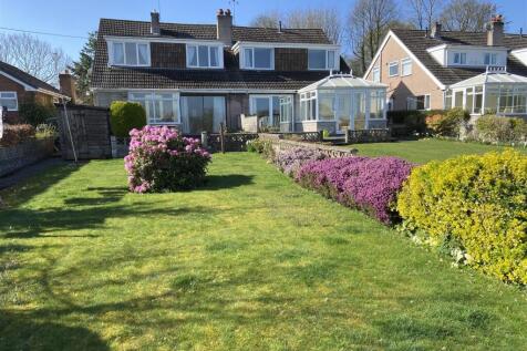 back garden .jpeg