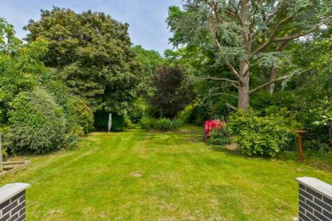 garden.jpg
