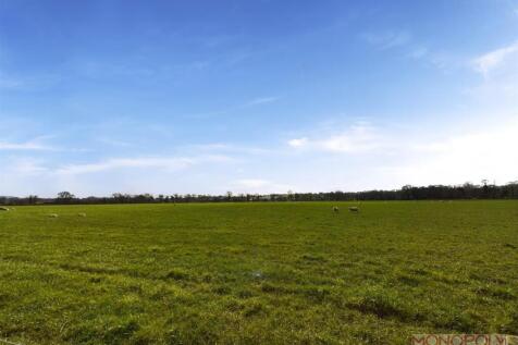CAM01943G0-PR0394-STILL029.jpg