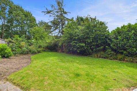 Rear Garden.jpg