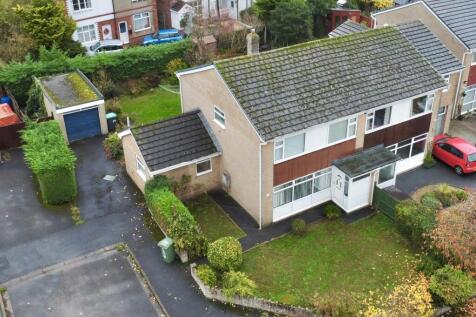 thumbnail_dji_fly_20251111_153648_68_1762875467306