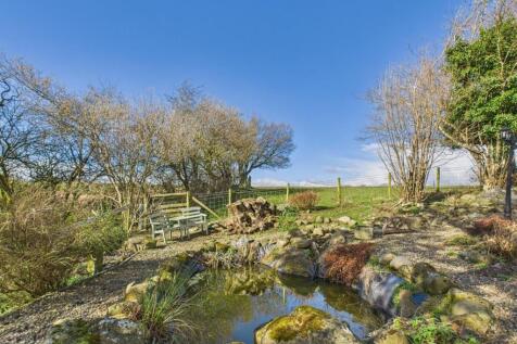 Pond