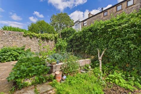 Vegetable Garden