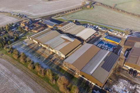 thumbnail_Squab_Leam_December 16 2022_492HDR.jpg