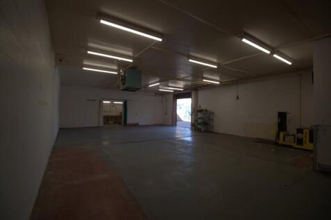 IMG_4297.jpeg