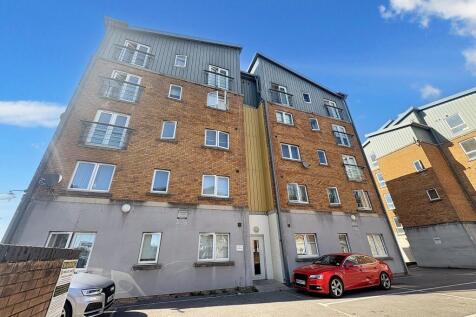 IMG_4504 (1)
