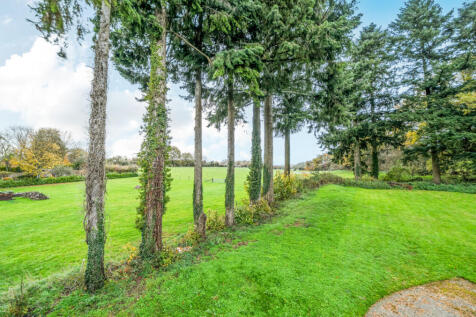 1374814-9-6904e5c...