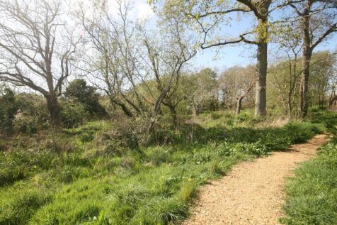 Woodland Walk.JPG