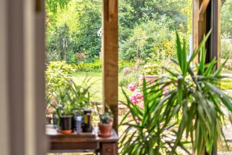 View to Garden