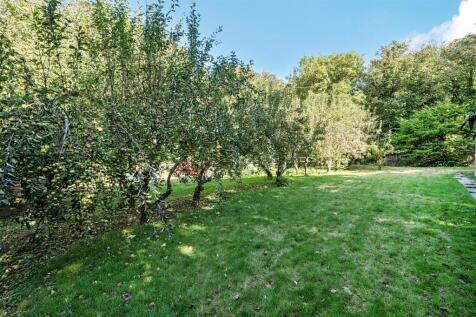 Orchard