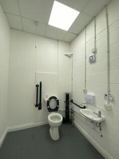 Toilet.jpg