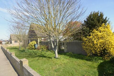 Side garden