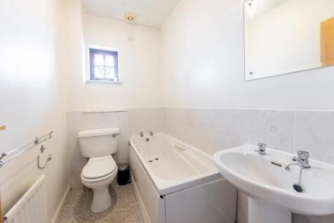 Picture 14