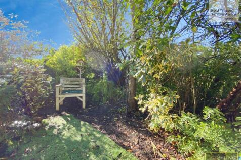 BACK  GARDEN