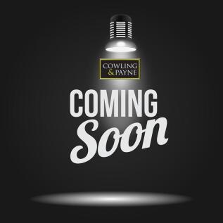 coming-soon.2.2.jpg