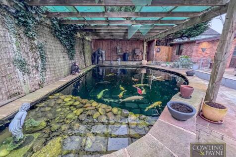 Koi Pond