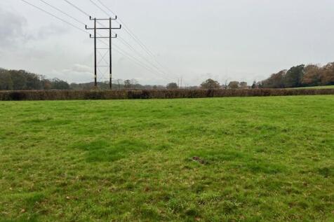 Lot 5