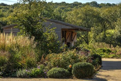 Property Image 64
