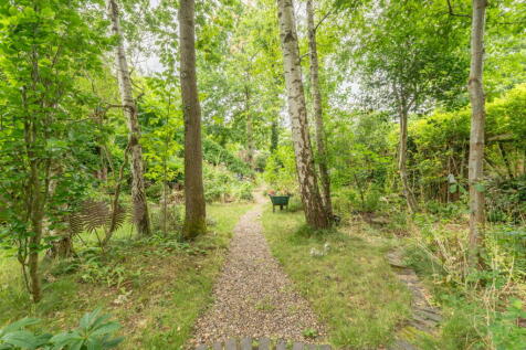 Property Image 56
