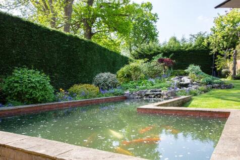 Pond