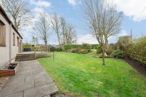 GARDEN AGAIN