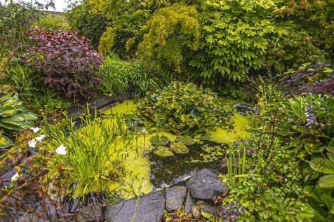 GARDEN DETAIL