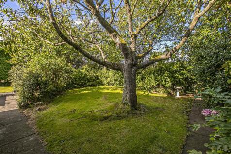 SIDE GARDEN