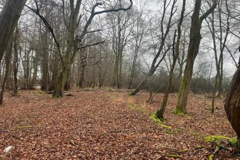 Woodland