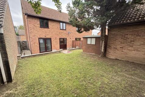 rear garden b.jpg
