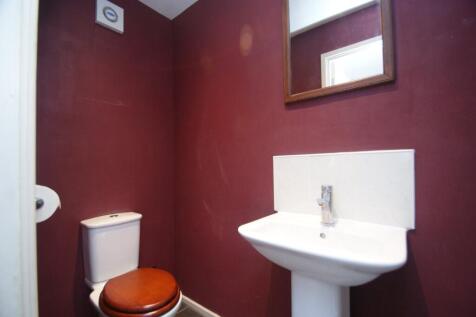 Picture 11