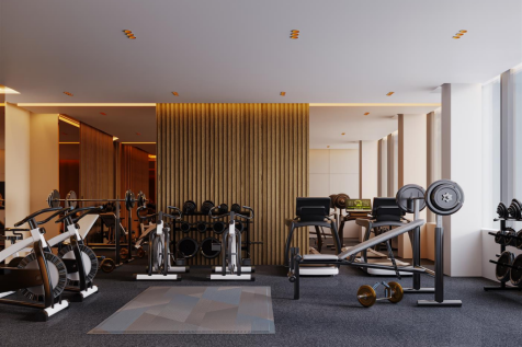 GYM VIEW 01.png
