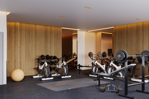 GYM VIEW 02.png