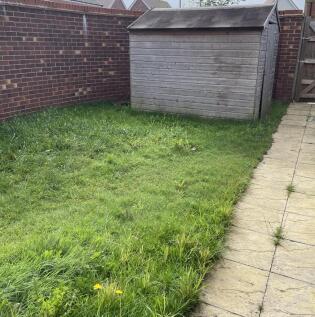 Back Garden