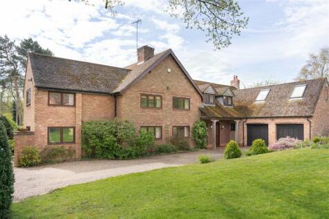 Property Image 43