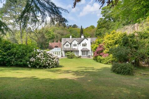 Property Image 41