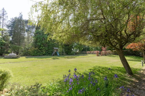 Property Image 34