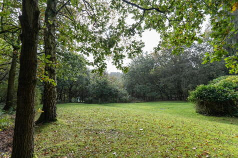 Property Image 53