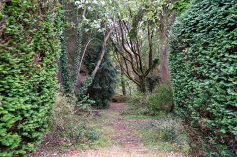 Property Image 39