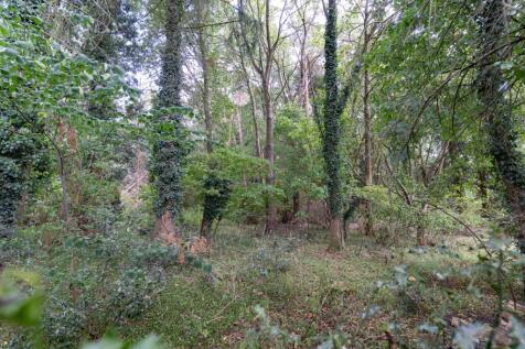 Property Image 40