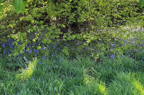 Property Image 55