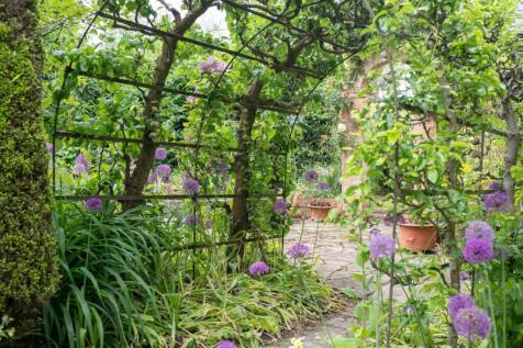 Property Image 22