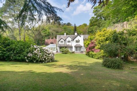 Property Image 43