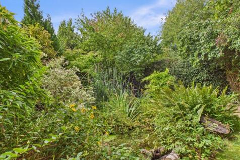 Pond Area