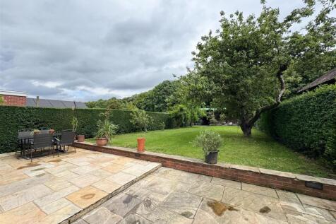 back garden...jpg