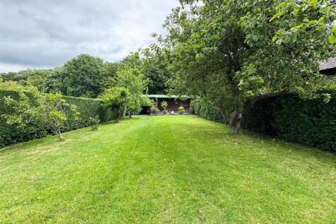 back garden.jpg