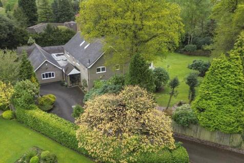 dji_0964.jpg