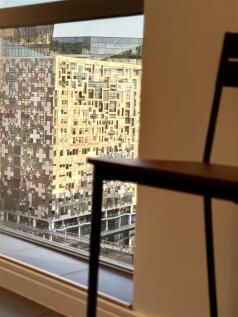 IMG_1798.jpg
